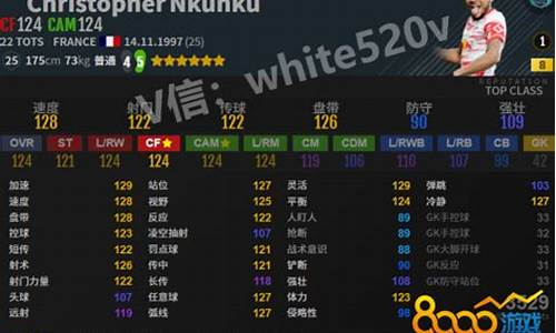 pes德甲数据库_pes2021为什么没有德甲
